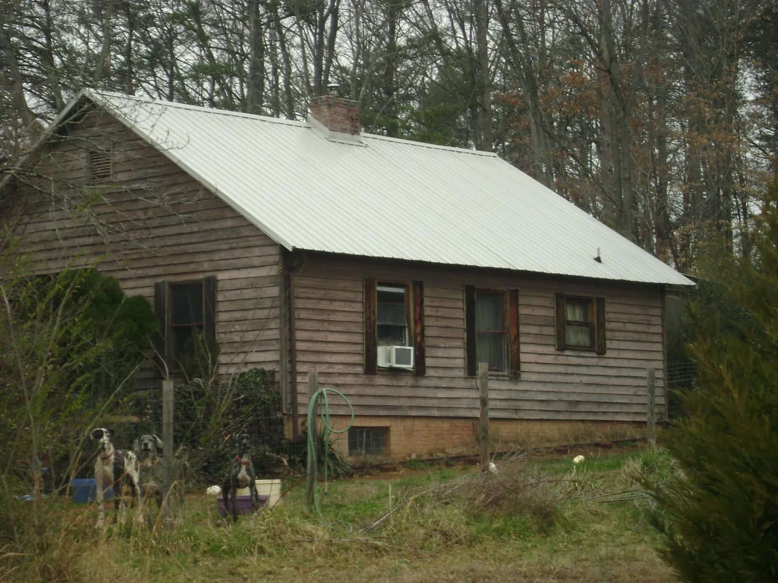 White metal roof on an old wood sided farmhouse, from a Metal Roof Installation job in Mapleton Depot